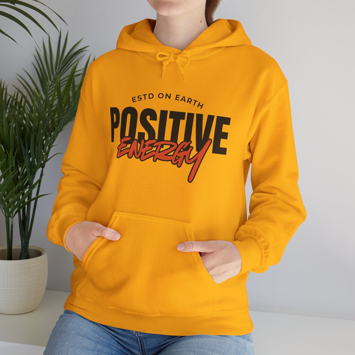 🌞Positive Energy Hoodie — Radiate Light, Ground in Presence✨🌿