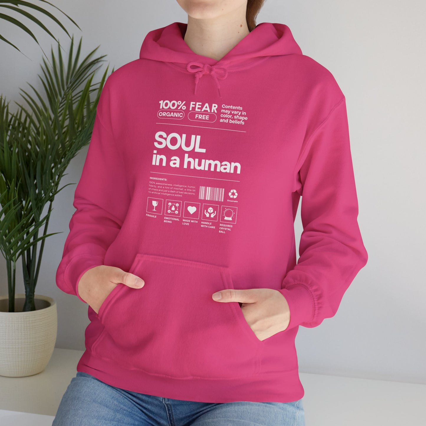 🌿Soul in a Human – Nutrition Facts Hoodie💫✨