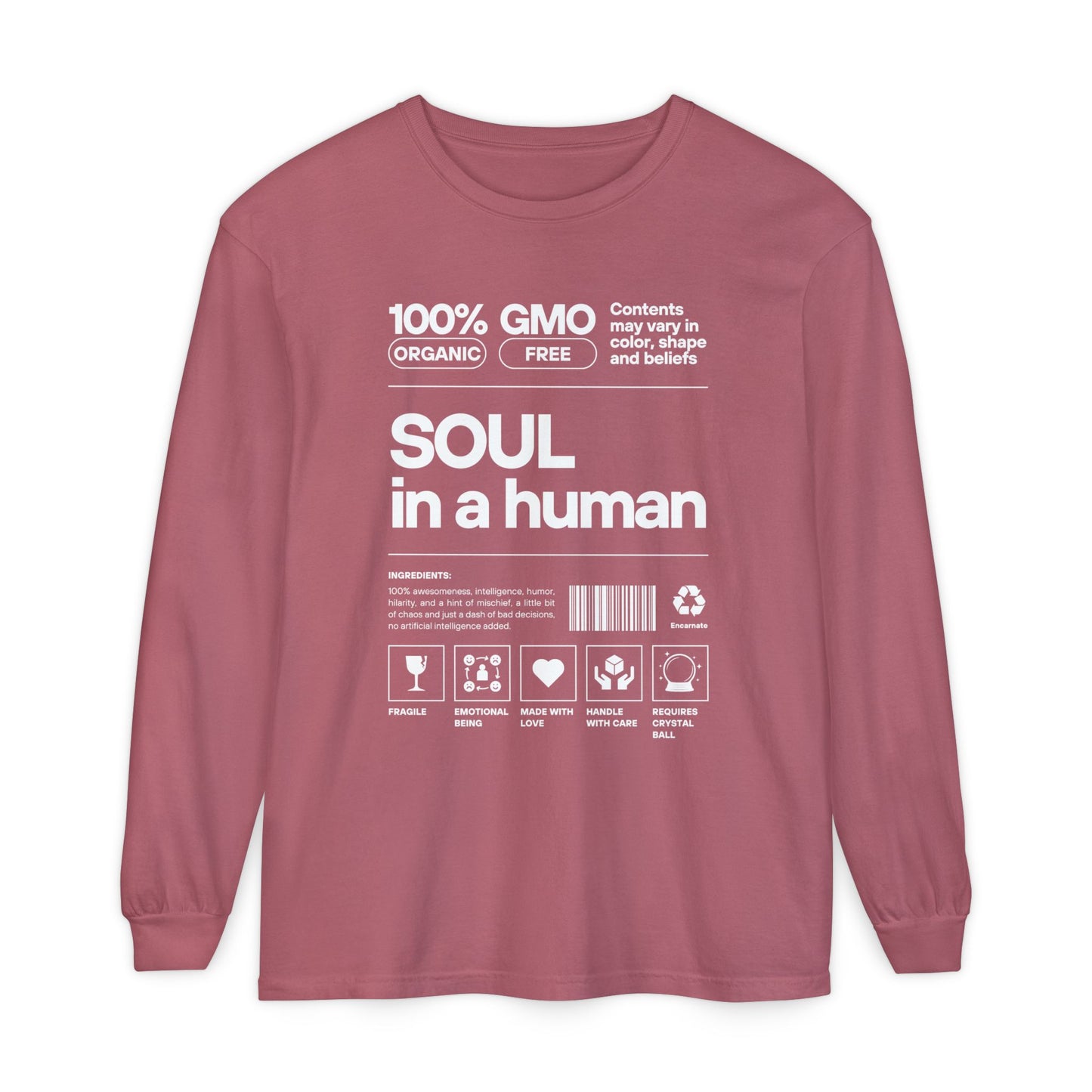 🌟Soul in a Human FUN Fact - Long Sleeve Tee