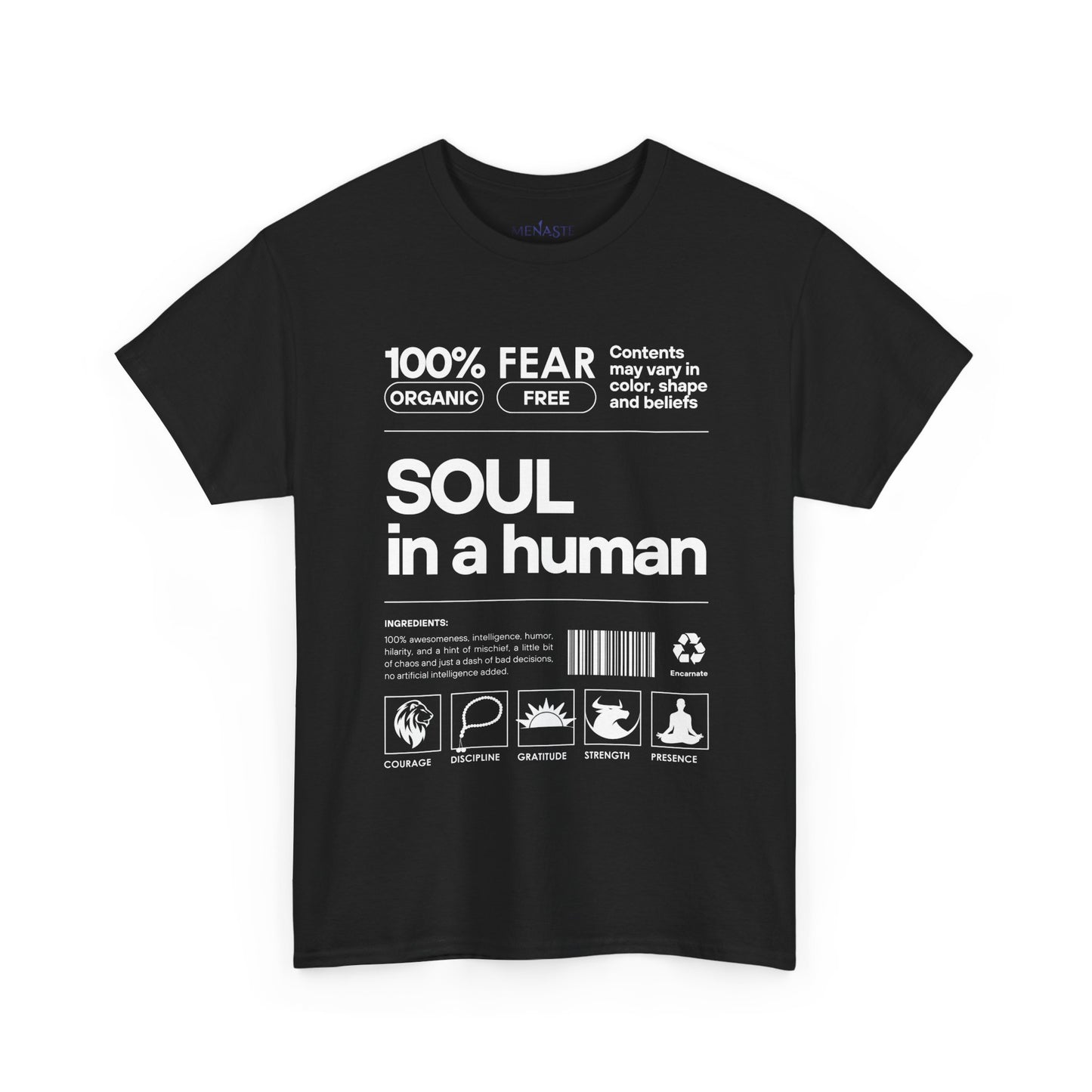 🜂 SOUL IN A HUMAN — The Human Blueprint Tee (Menaste Edition)