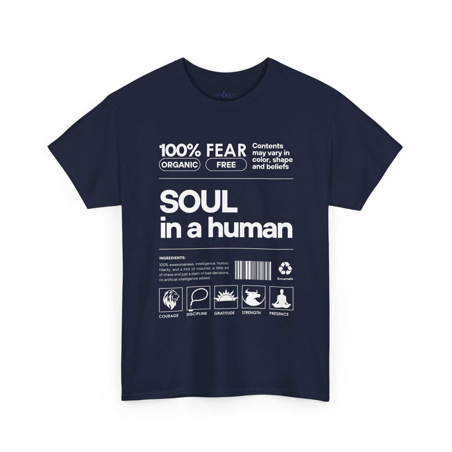 🜂 SOUL IN A HUMAN — The Human Blueprint Tee (Menaste Edition)