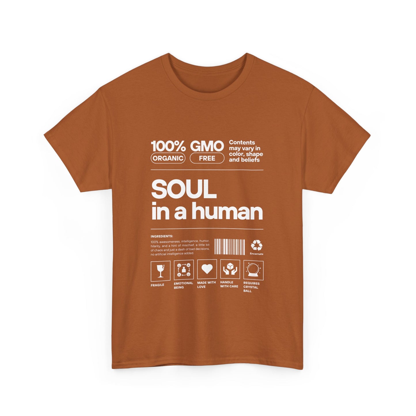 Soul in a Human - Conscious Humor Heavy Cotton Tee